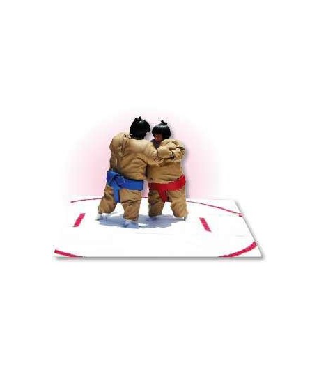 Insuflável Sumo Wrestling - Usado